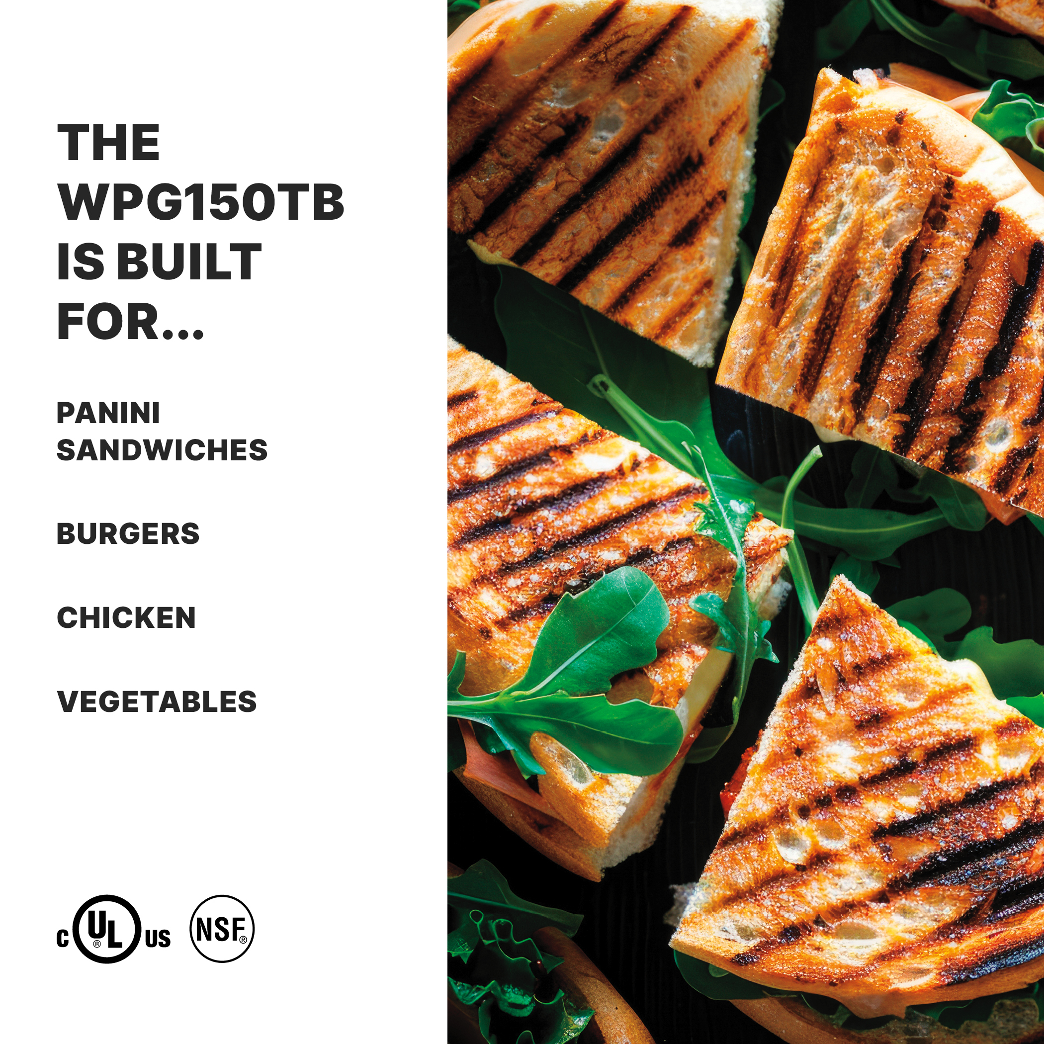 Ribbed Panini Grill with Timer, 9.75" x 9.25", 208 Volt